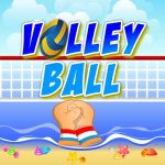 Volley ball